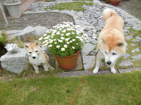 ’14,5,6(火)GWの最後の日!_f0060461_811395.jpg