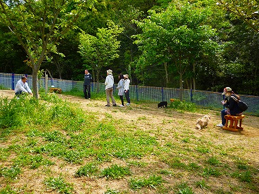 松山総合公園 ドッグランデビュー いぬなりワンコ日記