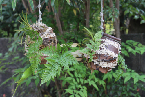 タコ柄　壺 マタ・オルティス陶器 by Lupe Soto 黒い鳥壺｜マライカ公式通販
