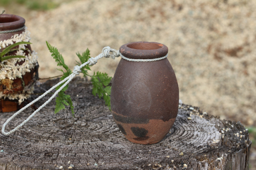 タコ壺の吊シノブ : The blog of meraki