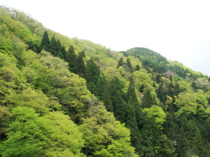 GWツーリングその1 せせらぎ街道から飛騨高山へ_e0261673_13433025.jpg