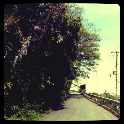 河川敷にて。_a0133078_10425117.jpg