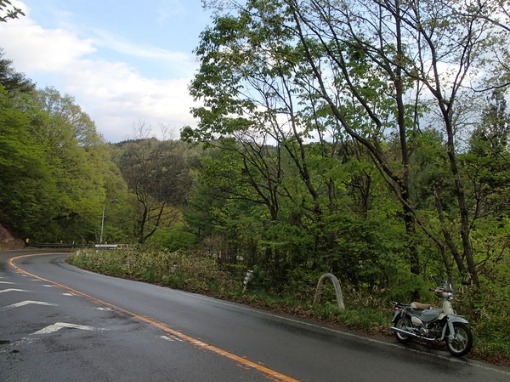 a0279883_84266.jpg