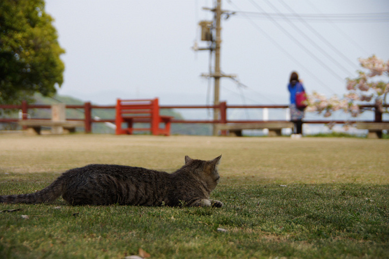 【GW休暇を振り返る】その2：夕焼けは尾道で(4/26)_f0189086_2012830.jpg