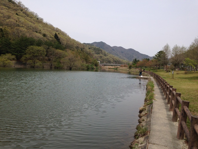 青野ダム 花鳥料理Golden!