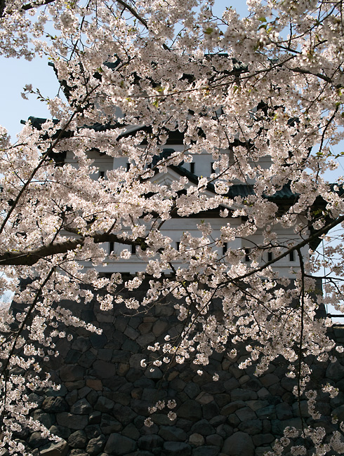 d0134896_15172241.jpg