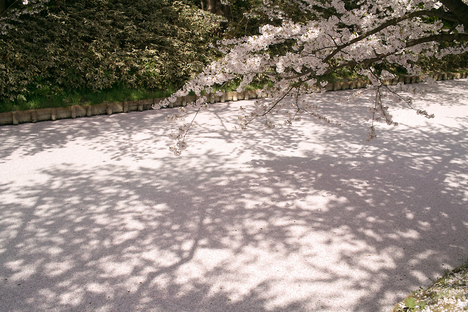 d0134896_15214350.jpg