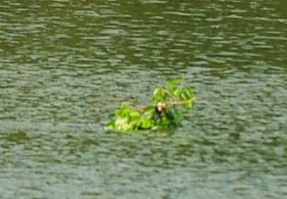 b0028598_19243078.jpg