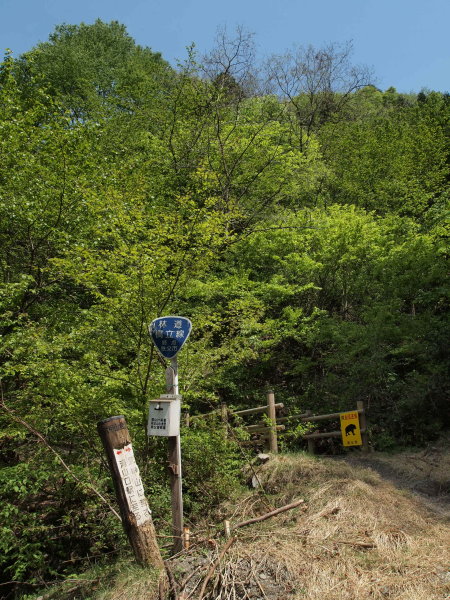 f0062398_16253981.jpg