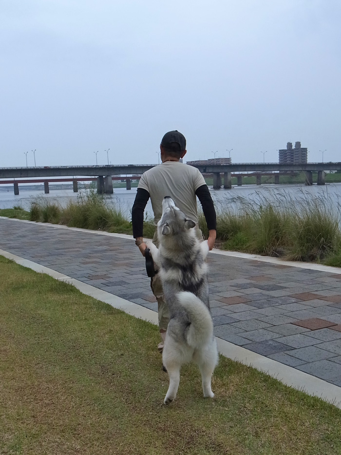 こどもの日 (^o^)_c0049299_222219.jpg