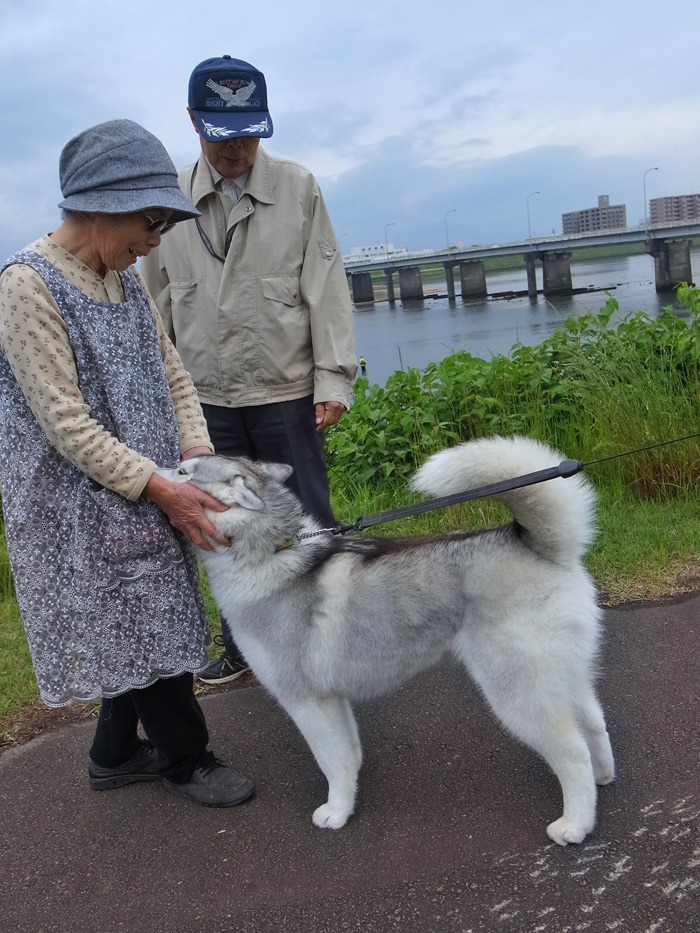 こどもの日 (^o^)_c0049299_2234825.jpg