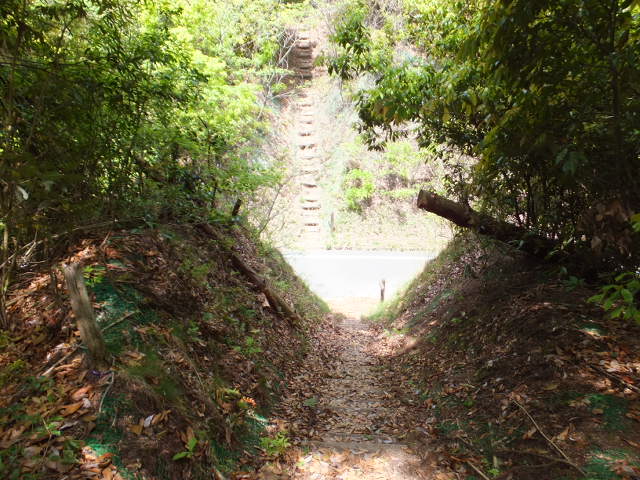 a0271502_1037872.jpg