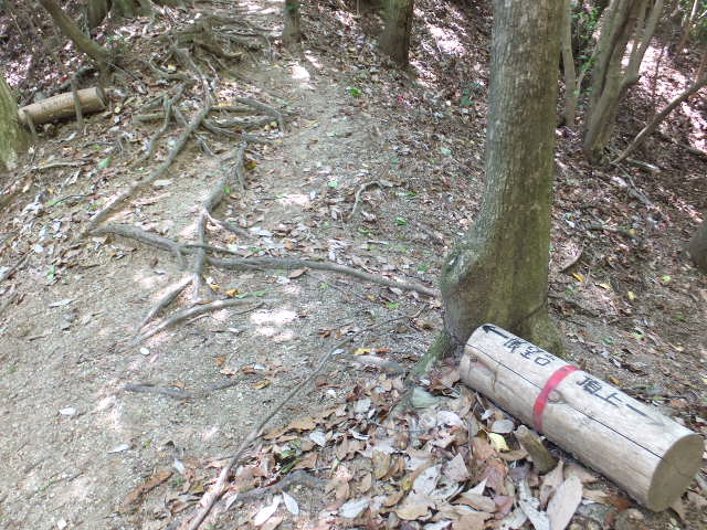 a0271502_10435432.jpg