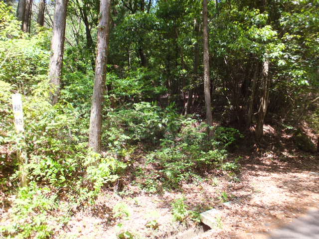 a0271502_1045628.jpg