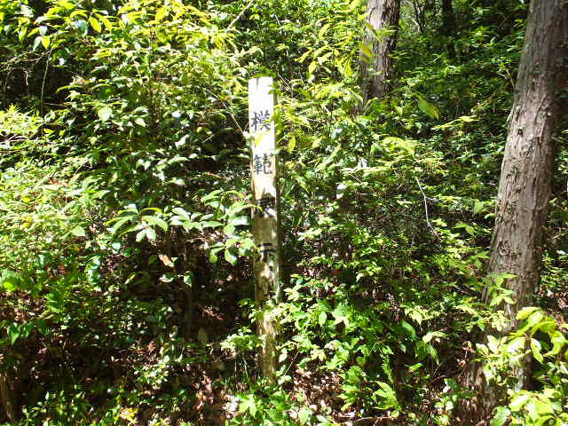 a0271502_1054560.jpg