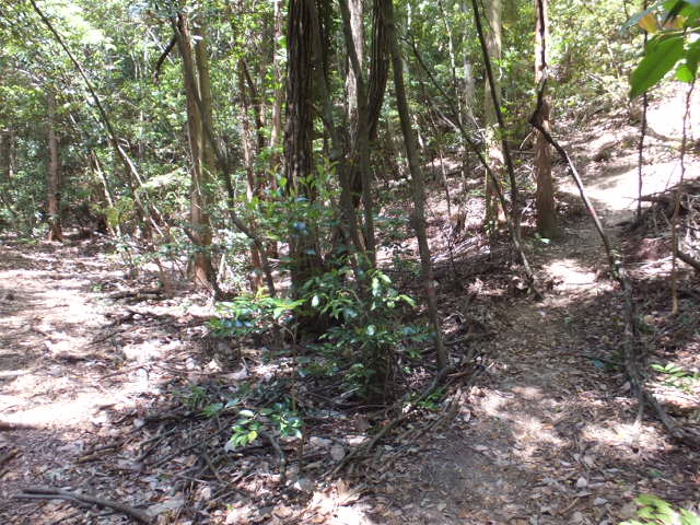 a0271502_107432.jpg