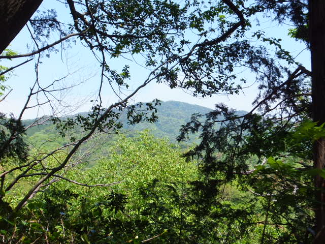 a0271502_1084696.jpg