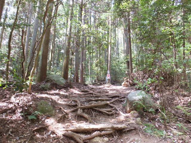 a0271502_1142268.jpg