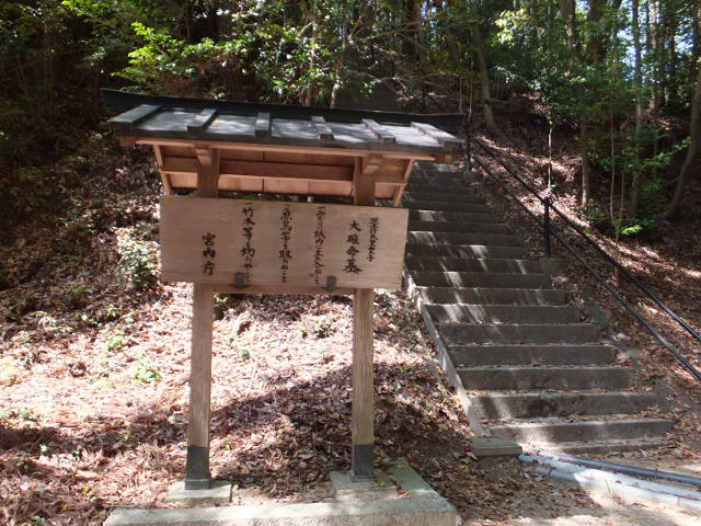 a0271502_1173814.jpg