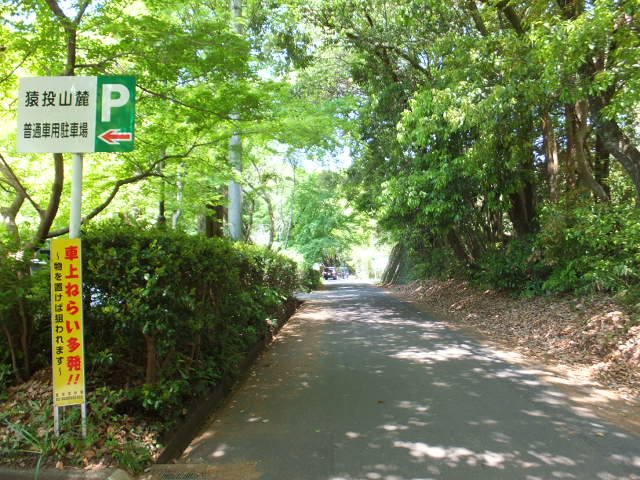 a0271502_9555741.jpg