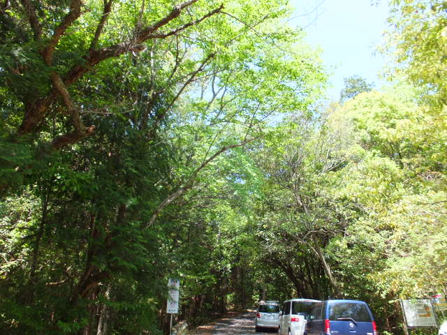 a0271502_9581445.jpg