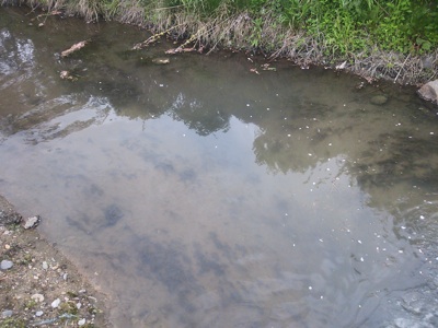 f0082402_2059219.jpg