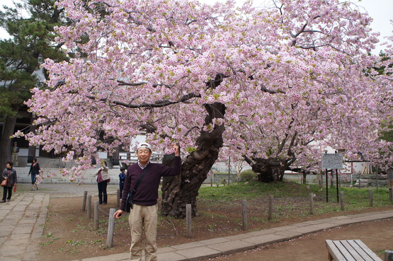 渡島檜山地区探訪★桜前線と共に★2014.5.5-6_a0248508_2250648.jpg