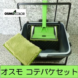三年目 二度目のオスモと体調不良 てくてく散歩道 三年目 二度目のオスモと体調不良 てくてく散歩道