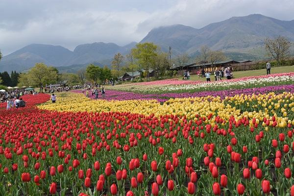 九重未踏の山へ！_b0277008_875950.jpg