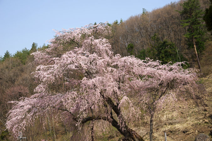 a0263109_2110224.jpg