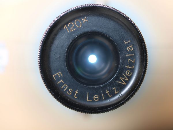 c0164709_07282227.jpg
