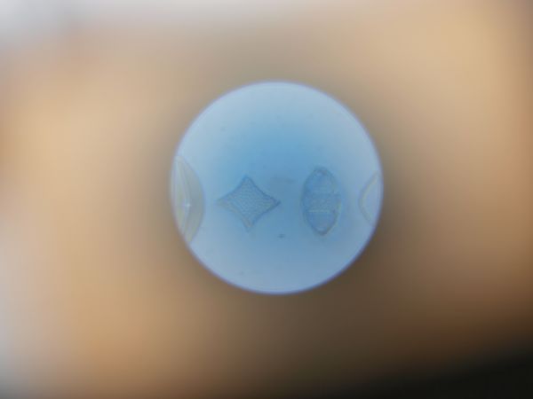 c0164709_07282675.jpg
