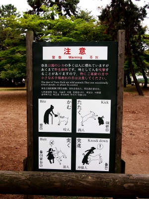 f0200114_17204790.jpg