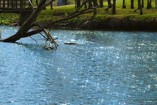 e0062415_1813033.jpg