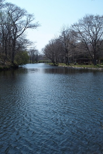 e0062415_18175669.jpg