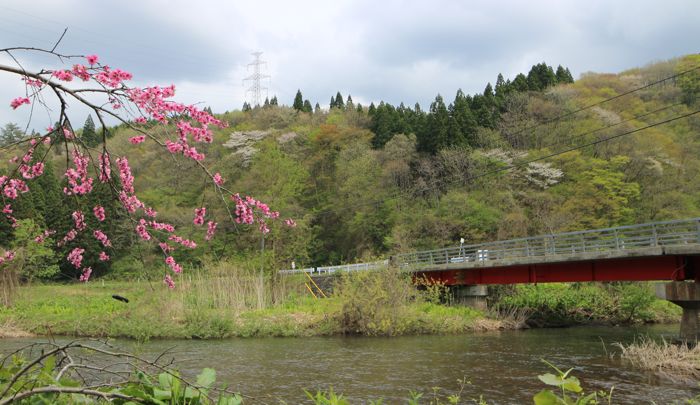 若葉のころ・2（2014.05.07 WED.）_b0226219_12212234.jpg