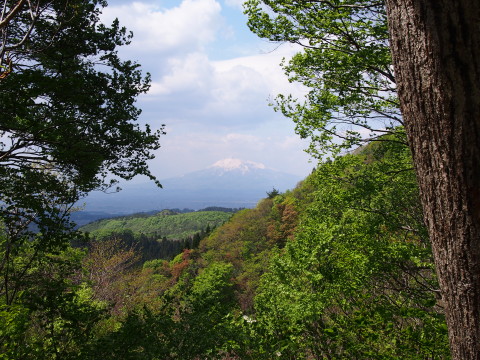 b0147224_21571122.jpg