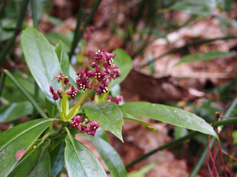 b0147224_22182284.jpg