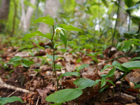 b0147224_2221993.jpg