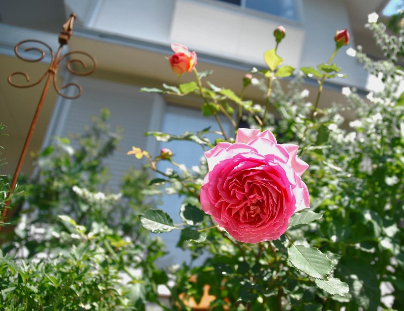 b0280025_2217365.jpg
