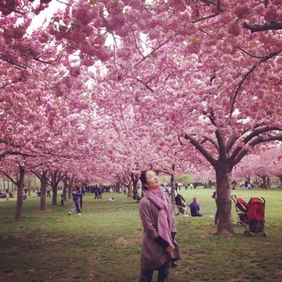 桜🌸咲く♡ おめでとうございます〜♪_f0095325_21524327.jpg