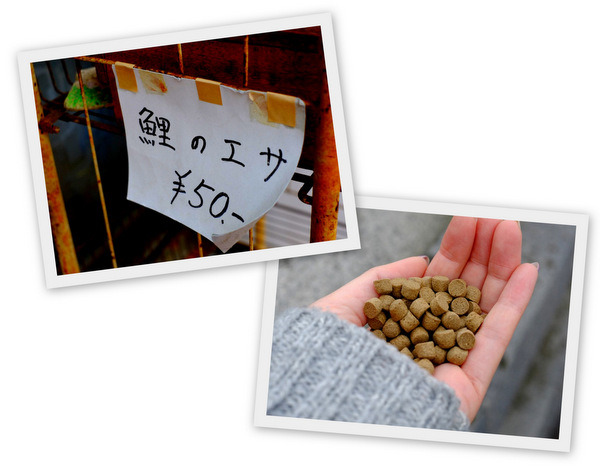 「益田・津和野の旅 津和野の街いろいろ」_a0000029_17064438.jpg