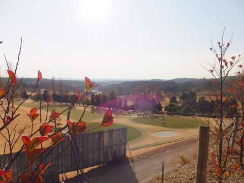 秋川丘陵(雹留山）〜1月26日(日)〜　その①_b0281732_20154724.jpg