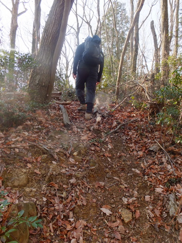 秋川丘陵(雹留山）〜1月26日(日)〜　その①_b0281732_2017862.jpg