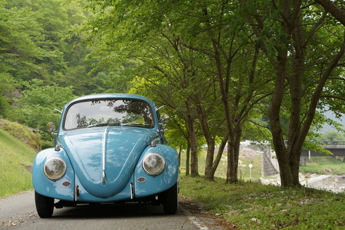 \'67 BEATLE FORSALE!!_c0250233_12404498.jpg