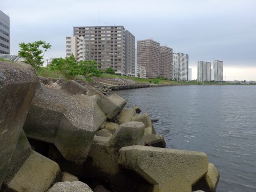 b0156734_12153632.jpg