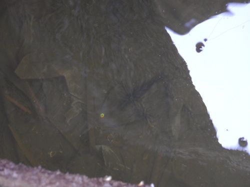 b0156734_12160739.jpg