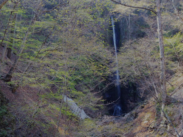 f0300637_21485316.jpg