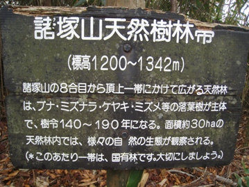c0077338_22191673.jpg