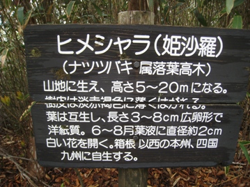 c0077338_22194227.jpg